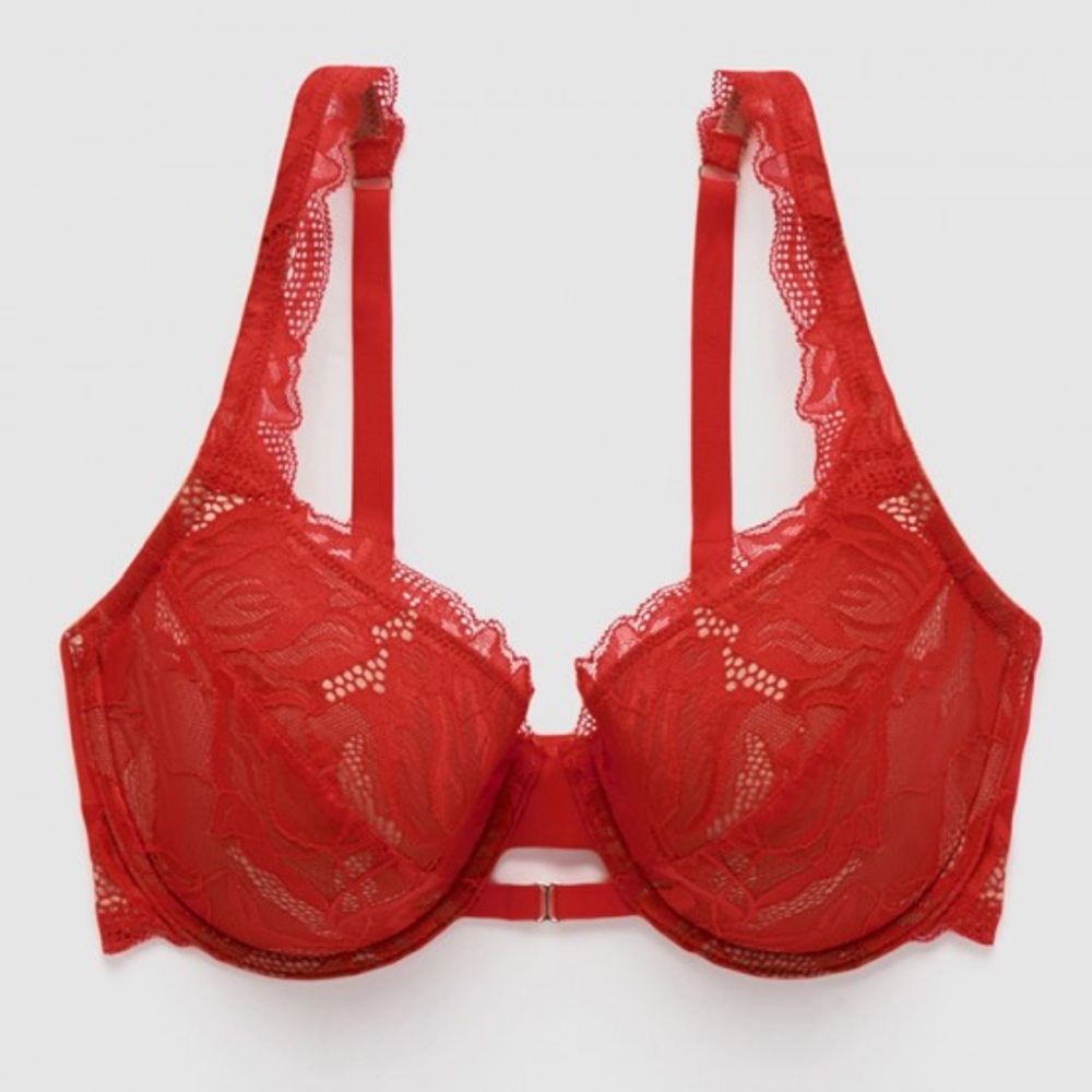 La Vie En Rose Red Lace Bra